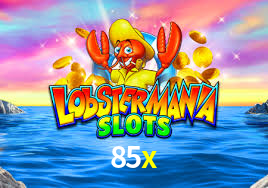 85x,85x.com