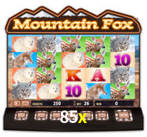 85x.com