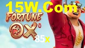 85x,85x.com