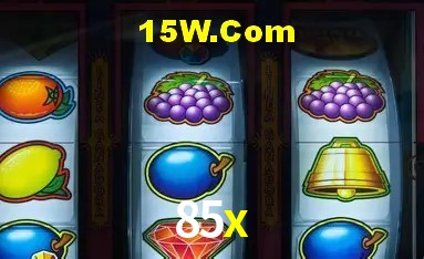 Experiência VIP 85x